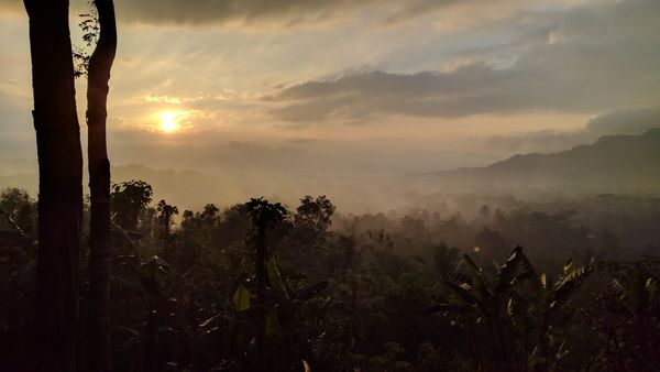 Indonesia: Yogyakarta