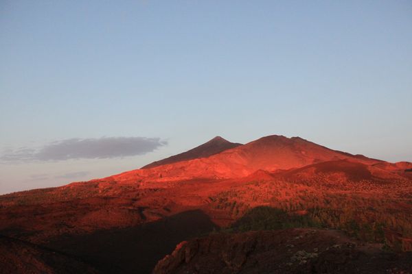 Canary Islands: Tenerife